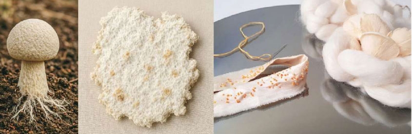 نوآوری در پارچه: تولید پارچه چرم پایه زیستی از میسلیوم